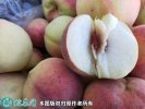 2021年4月27日映霜红蜜桃价格行...