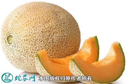 2021年4月28日哈密瓜价格行情、今日各种哈密瓜多少钱一斤?