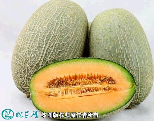 2021年4月28日西州蜜瓜价格行情、今日西州蜜瓜多少钱一斤?
