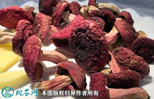 2021年4月28日红菇价格行情、今日红菇多少钱一斤？