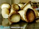 2021年4月28日虎奶菇价格行情、...