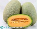 2021年4月28日西州蜜瓜价格行情...