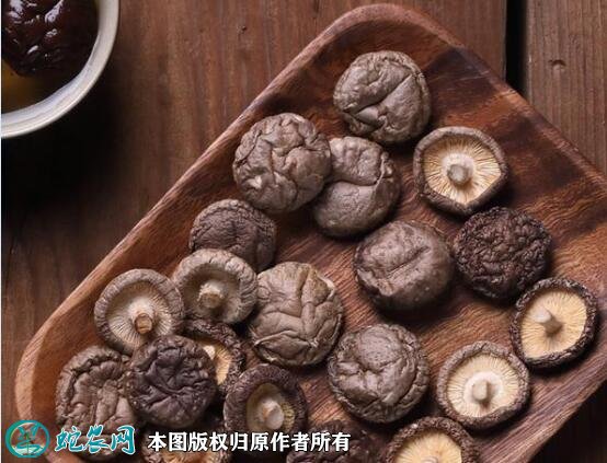 2021年4月29日光面菇价格行情、今日光面香菇多少钱一斤?