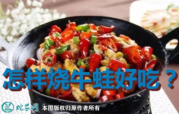 牛蛙的做法
