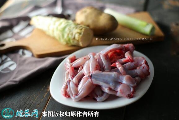 牛蛙的做法步骤图1