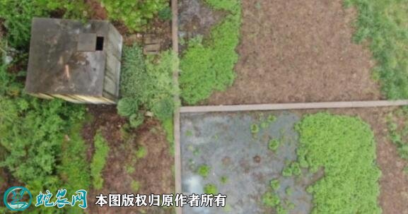 农村改厕