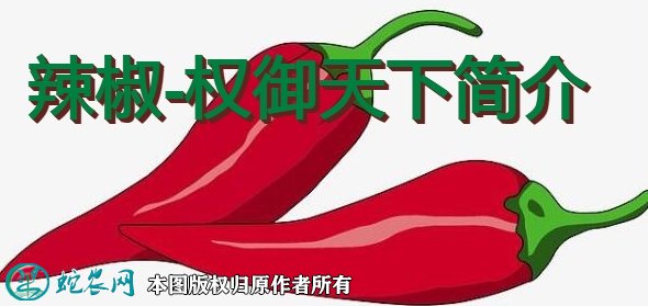 辣椒新品种:权御天下简介