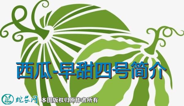 西瓜新品种：早甜四号简介