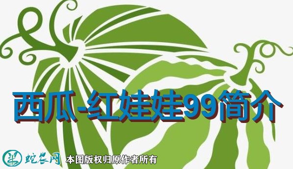 西瓜新品种：红娃娃99简介