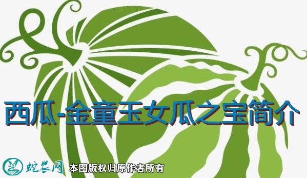 西瓜新品种：金童玉女瓜之宝简介