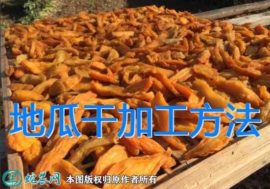 一种地瓜干的基础加工方法工艺流程