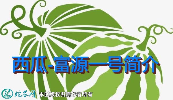 西瓜新品种：富源一号简介