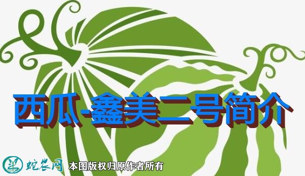 西瓜新品种：鑫美二号简介