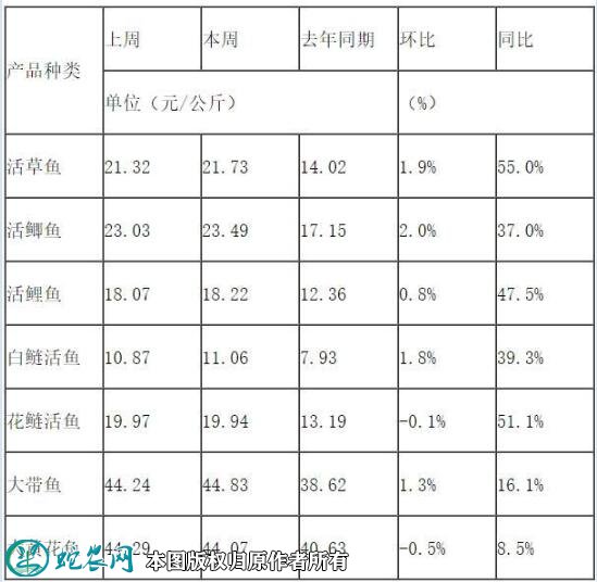 鱼肉价格上涨、一条鲫鱼要三四十元!你买鱼了吗?