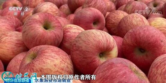苹果价格大跌滞销！卖1斤亏1元