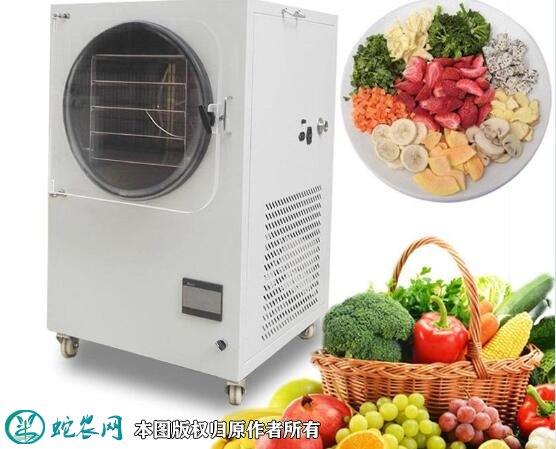蔬菜冷冻干燥技术