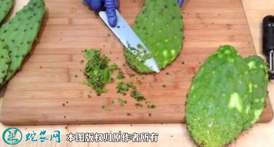 一种野生蔬菜仙人掌的加工方法技术流程