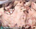 2021年6月17日羊头脸价格行情、...