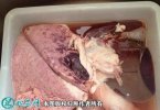 2021年6月18日羊肺价格行情、今...