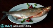 2021年6月27日白鱼价格行情、今...
