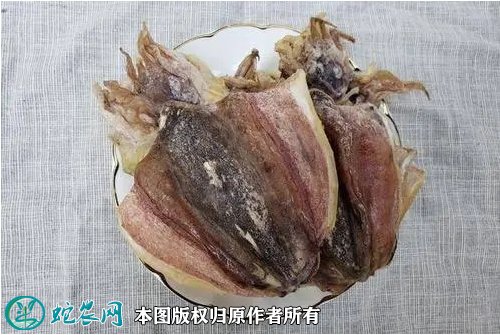 2021年6月30日北海墨鱼价格行情、今日北海乌贼多少钱一斤？