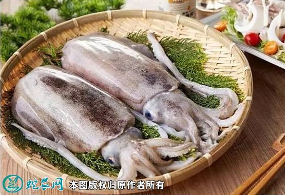 2021年6月30日墨鱼价格行情、今日乌贼/墨鱼多少钱一斤?