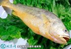 2021年6月30日黄花鱼价格行情、...