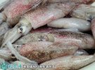 2021年6月30日深水墨鱼价格行情...