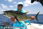 2021年6月30日金枪鱼价格行情、...