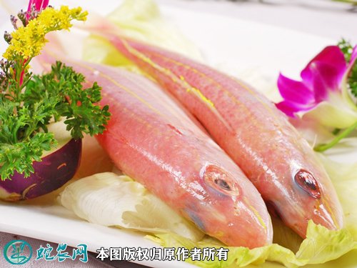 2021年7月1日红杉鱼价格行情、今日金丝鱼多少钱一斤?