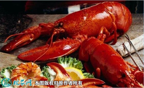 2021年7月1日龙虾价格行情、今日各种龙虾多少钱一斤?