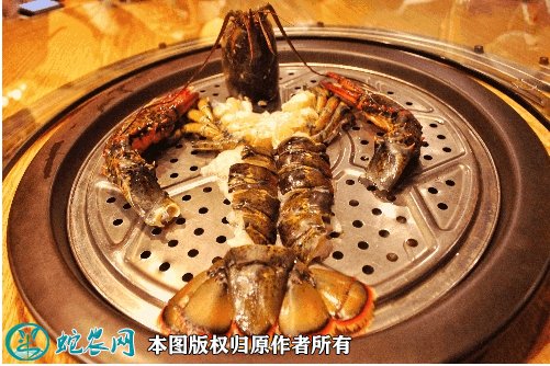 2021年7月1日大波龙价格行情、今日波士顿龙虾多少钱一斤?