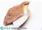 2021年7月1日黄尾鲽鱼价格行情、...