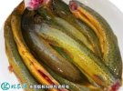 2021年7月2日黄泥鳅价格行情、今...
