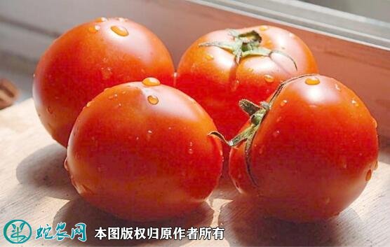 2021年7月6日西红柿价格行情、今日各种番茄多少钱一斤？