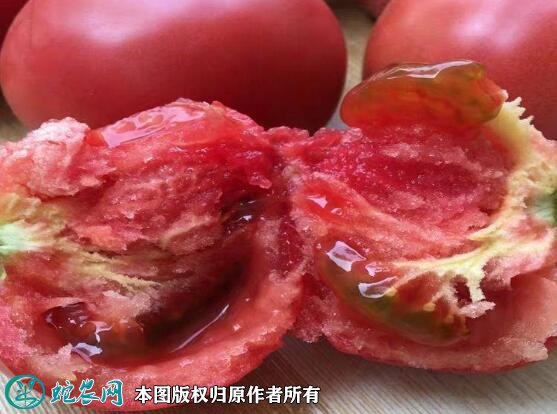 2021年7月6日硬粉西红柿价格行情、今日硬粉西红柿多少钱一斤?