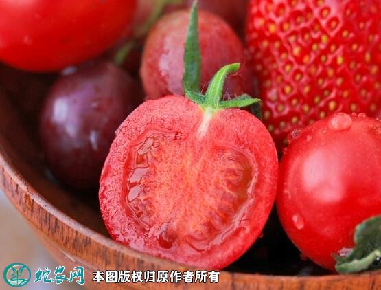 2021年7月7日贝贝圣女果价格行情、今日贝贝圣女果多少钱一斤?