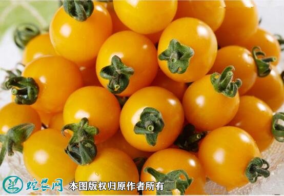 2021年7月7日黄圣女果价格行情、今日黄樱桃番茄多少钱一斤？
