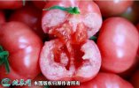 2021年7月7日粉红西红柿价格行情...