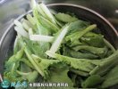 2021年7月7日毛白菜价格行情、今...