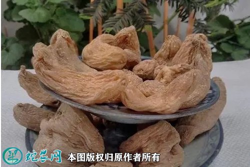 2021年7月8日乌红杂交天麻价格行情、今日乌红杂交天麻多少钱一斤?