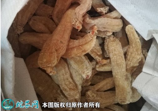 2021年7月8日黄天麻价格行情、今日黄秆天麻多少钱一斤?