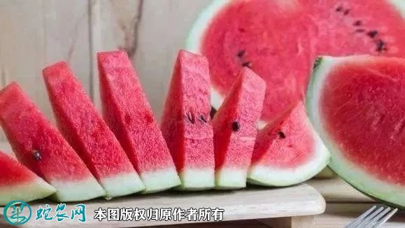 2021年7月9日8424西瓜价格行情、今日8424西瓜多少钱一斤?