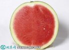 2021年7月9日无籽西瓜价格行情、...