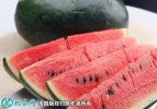2021年7月10日黑美人西瓜价格行...
