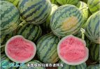 2021年7月10日早佳西瓜价格行情...