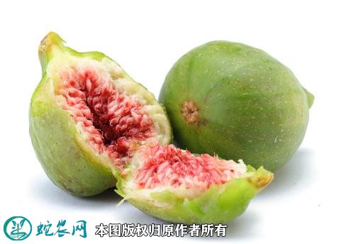 2021年7月11日无花果价格行情、今日各种无花果多少钱一斤?
