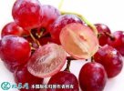 2021年7月12日红宝石葡萄价格行...