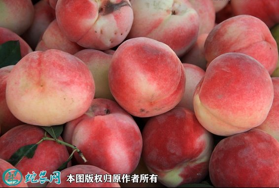 2021年7月13日红桃价格行情、今日各种红桃多少钱一斤?