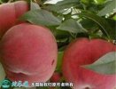 2021年7月14日秋彤桃价格行情、...